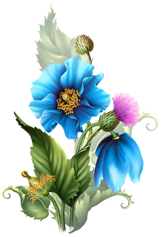 FLEURS BLEUES PNG