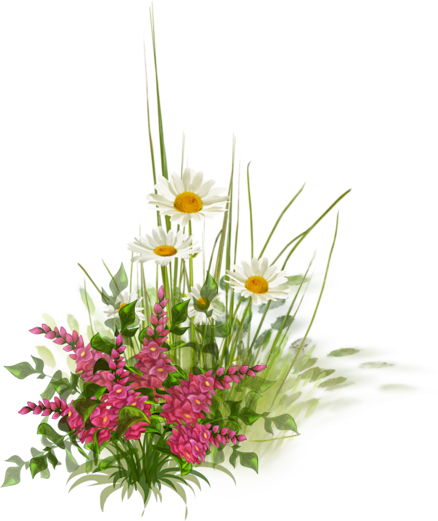 TUBE FLEURS MARGUERITES PNG